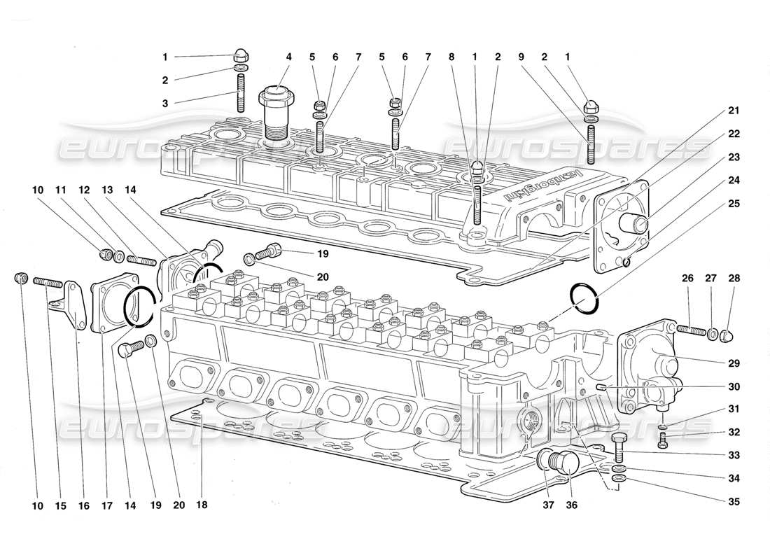 Lamborghini Diablo Roadster (1998) accessories for right cylinder head Parts Diagram