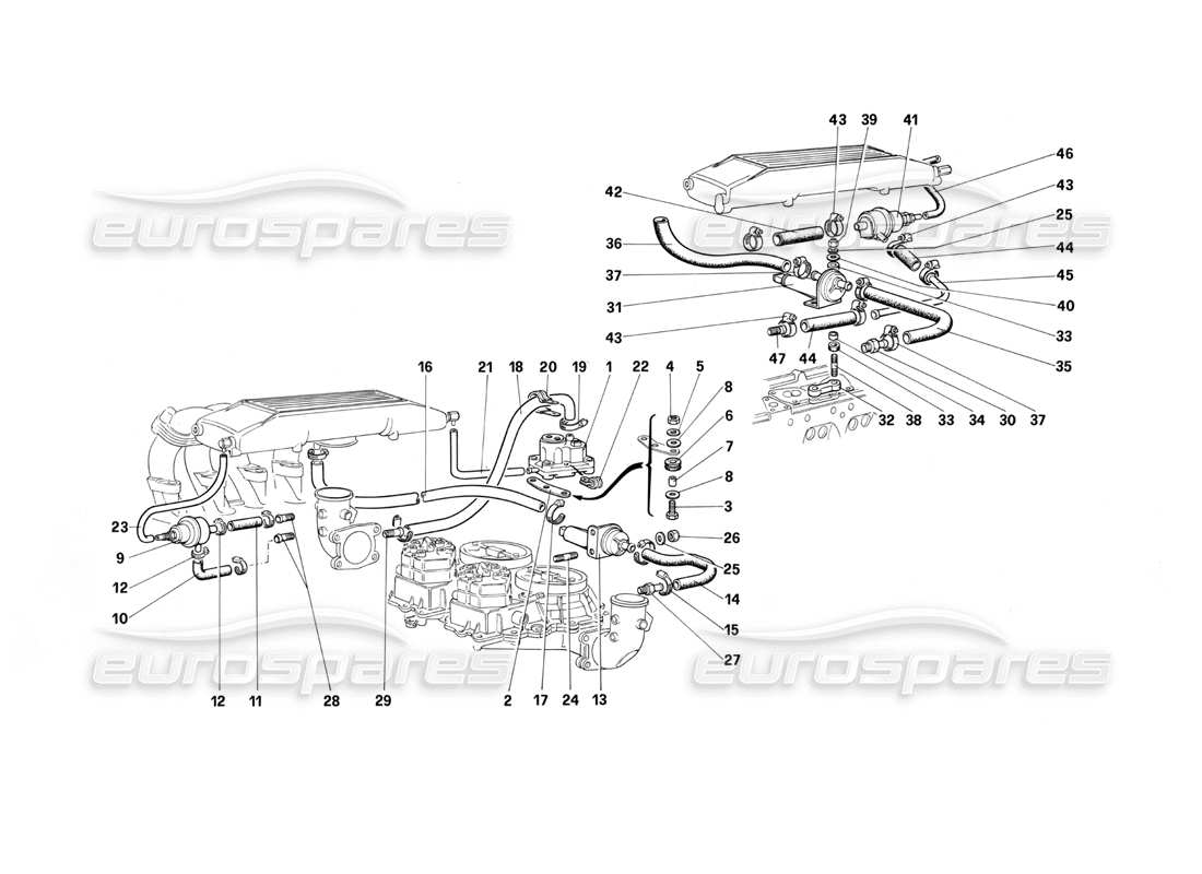 Ferrari Testarossa (1987) Fuel Injection System - Valves and Lines Parts Diagram