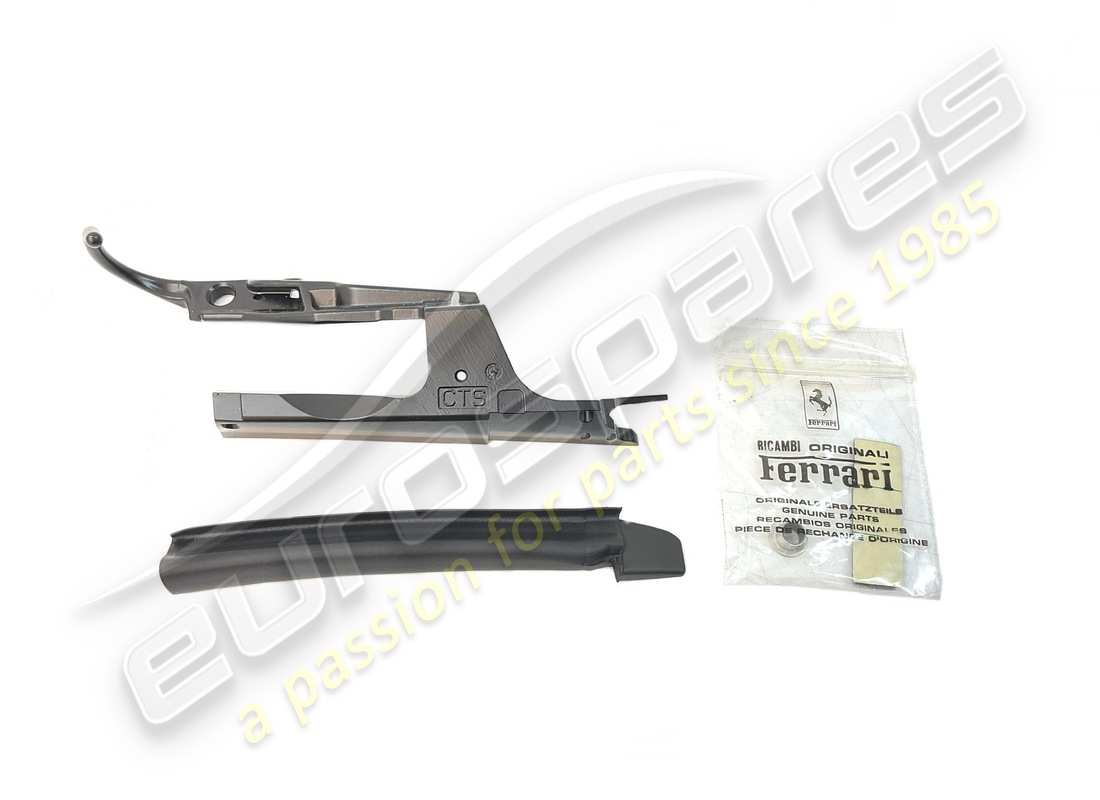 NEW Ferrari RH MOULDING.. PART NUMBER 66689000 (1)