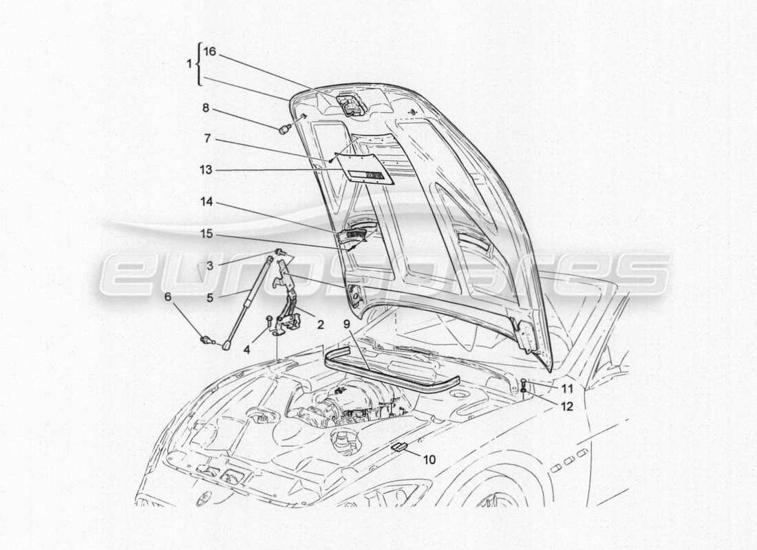 Maserati GranTurismo Special Edition front lid Part Diagram