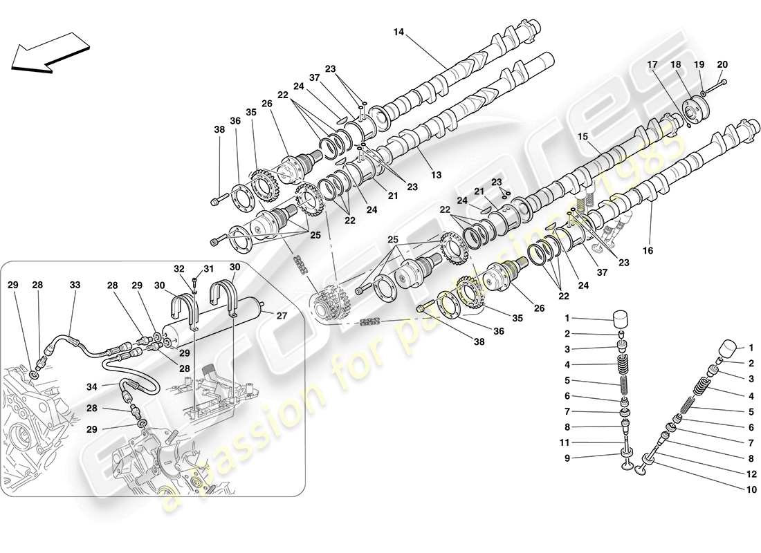 Ferrari F430 Coupe (Europe) timing system - tappets Parts Diagram