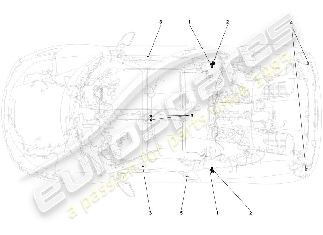 Ferrari 458 Spider (Europe) VARIOUS FASTENINGS FOR THE ELECTRICAL SYSTEM Parts Diagram