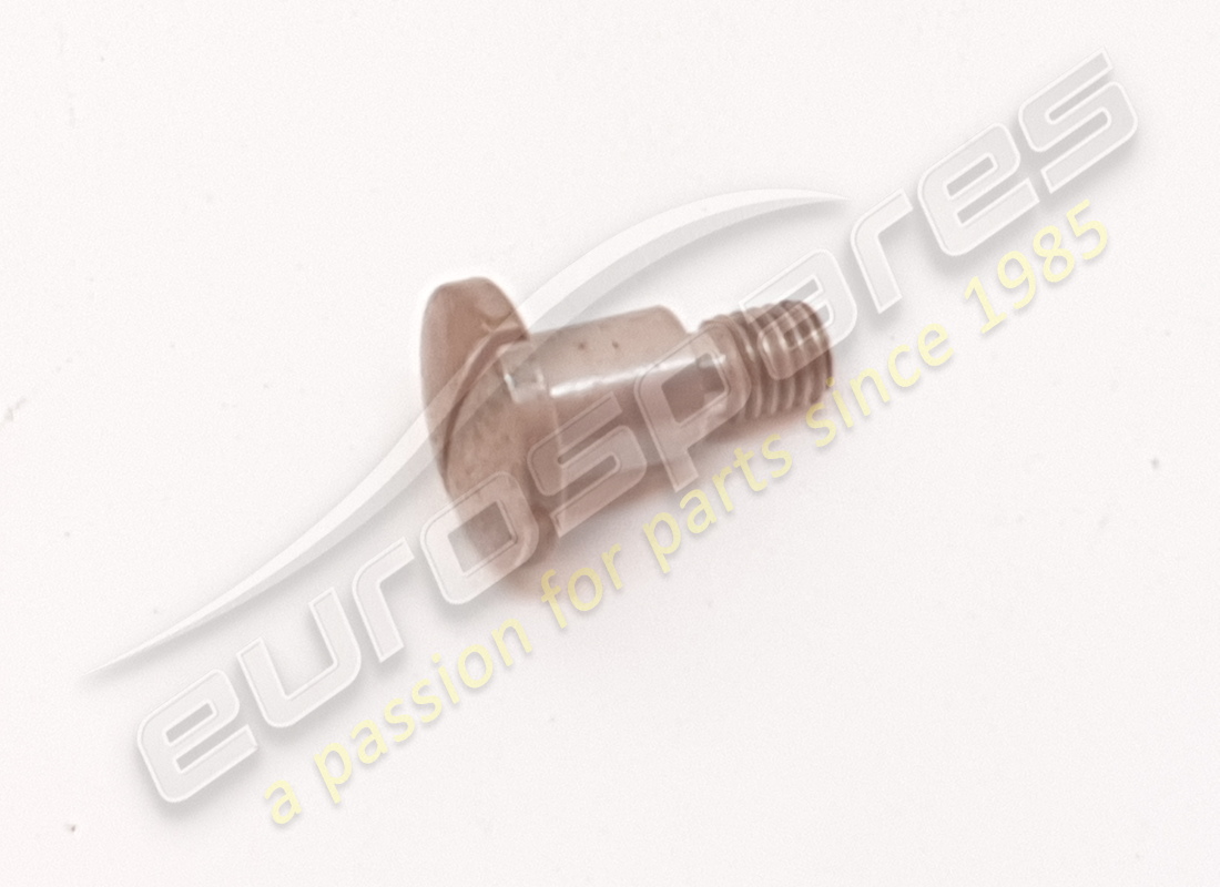 NEW Ferrari SCREW. PART NUMBER 60273901 (1)