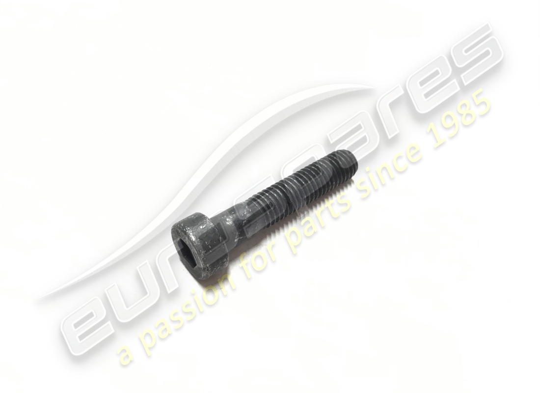 NEW Ferrari SCREW. PART NUMBER 13029026 (1)