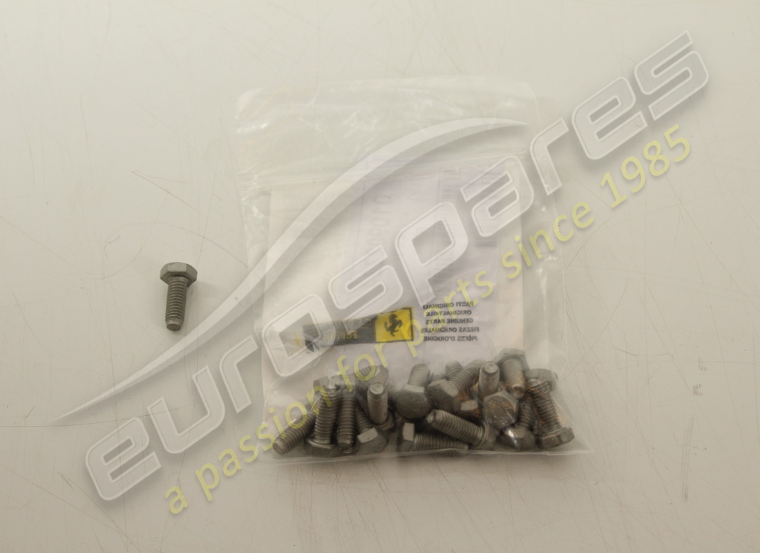 NEW Ferrari SCREW . PART NUMBER 10902224 (1)