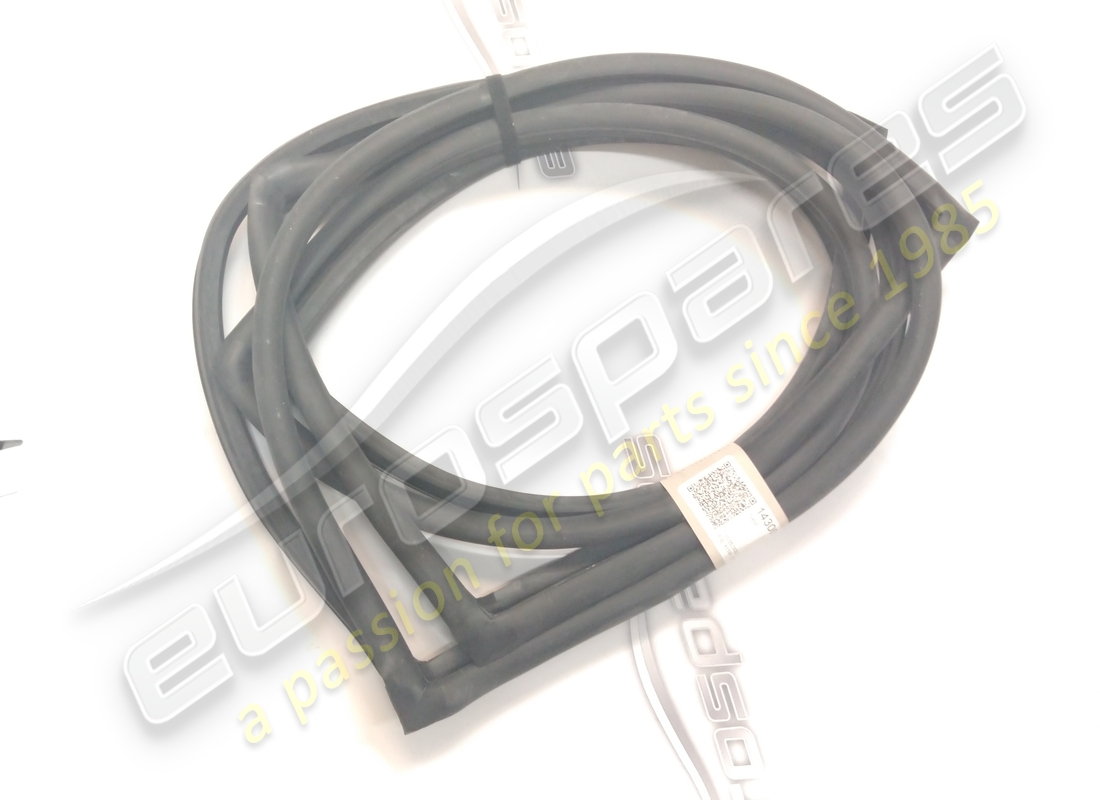 NEW Eurospares RH/LH OPENING DOOR RUBBER SEALS (MUST BE MOUNTED WITH THE ORIGINAL FRAME THAT HOLDS THEM) . PART NUMBER 14300162 (1)