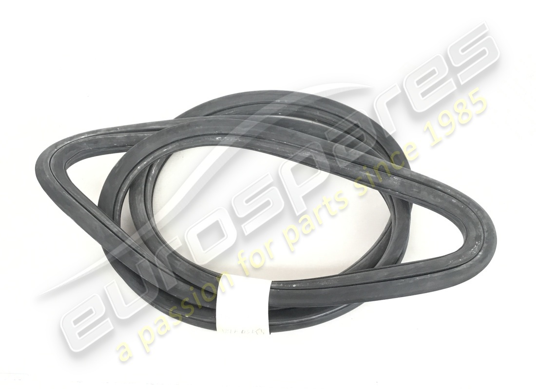 NEW Eurospares REAR SCREEN GASKET . PART NUMBER 16326110 (1)
