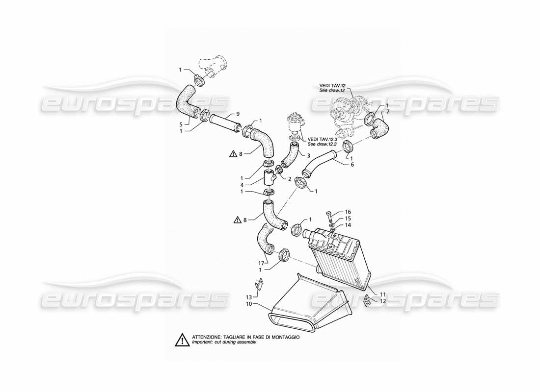 a part diagram from the Maserati QTP V6 (1996) parts catalogue