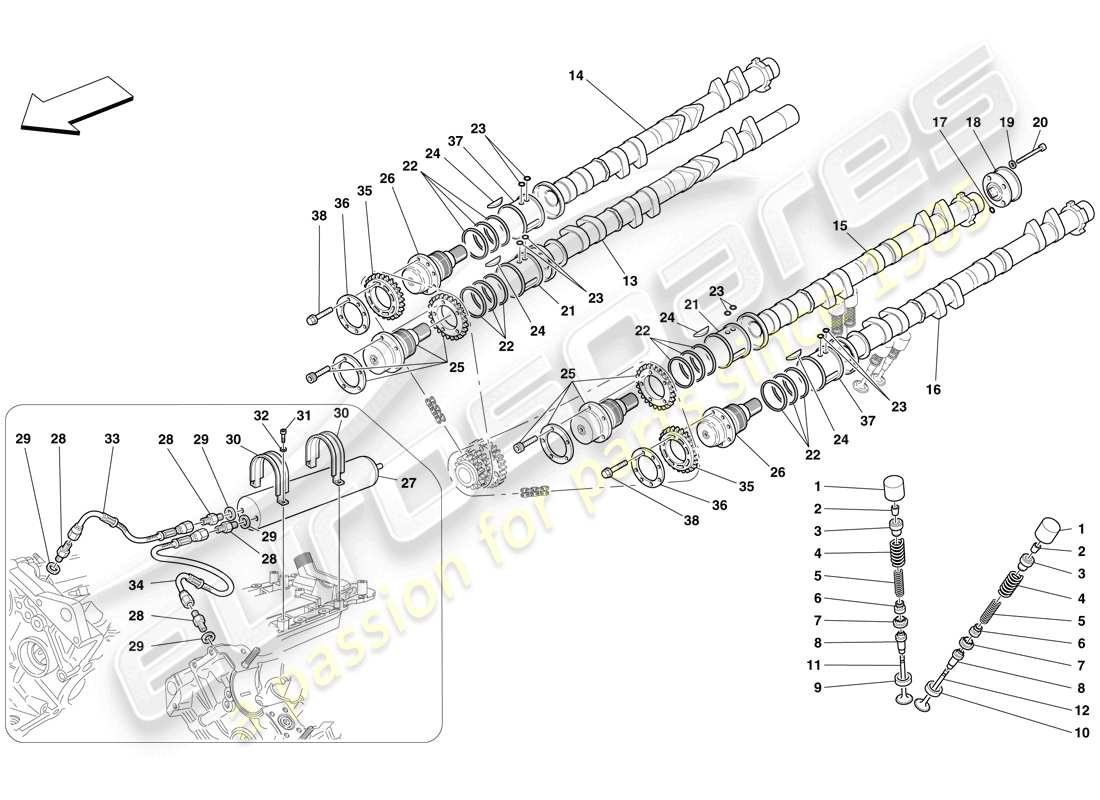 ferrari f430 scuderia spider 16m (usa) timing system - tappets parts diagram