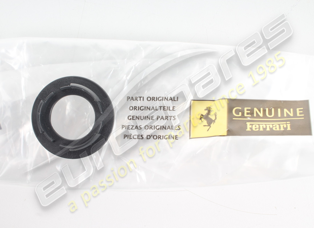 NEW FERRARI MOULDING. PART NUMBER 68917600 (3) new ferrari moulding. part number 68917600 (3)