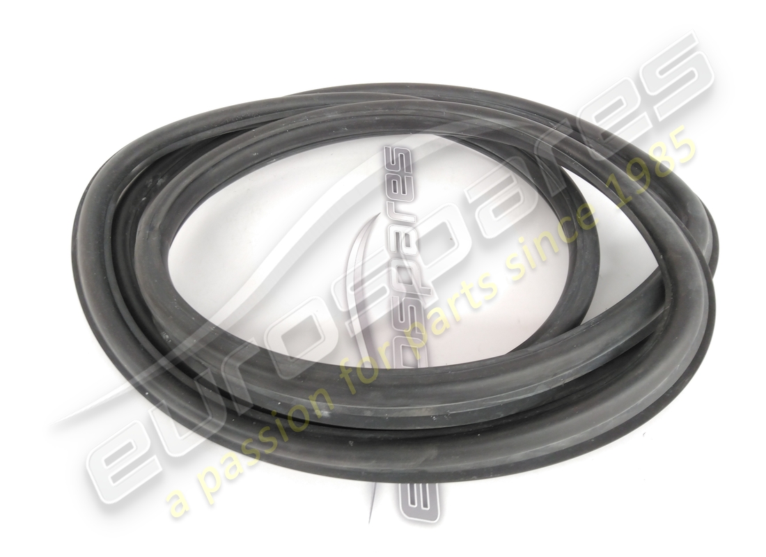 NEW FERRARI REAR SCREEN RUBBER. PART NUMBER 16310111 (2) new ferrari rear screen rubber. part number 16310111 (2)