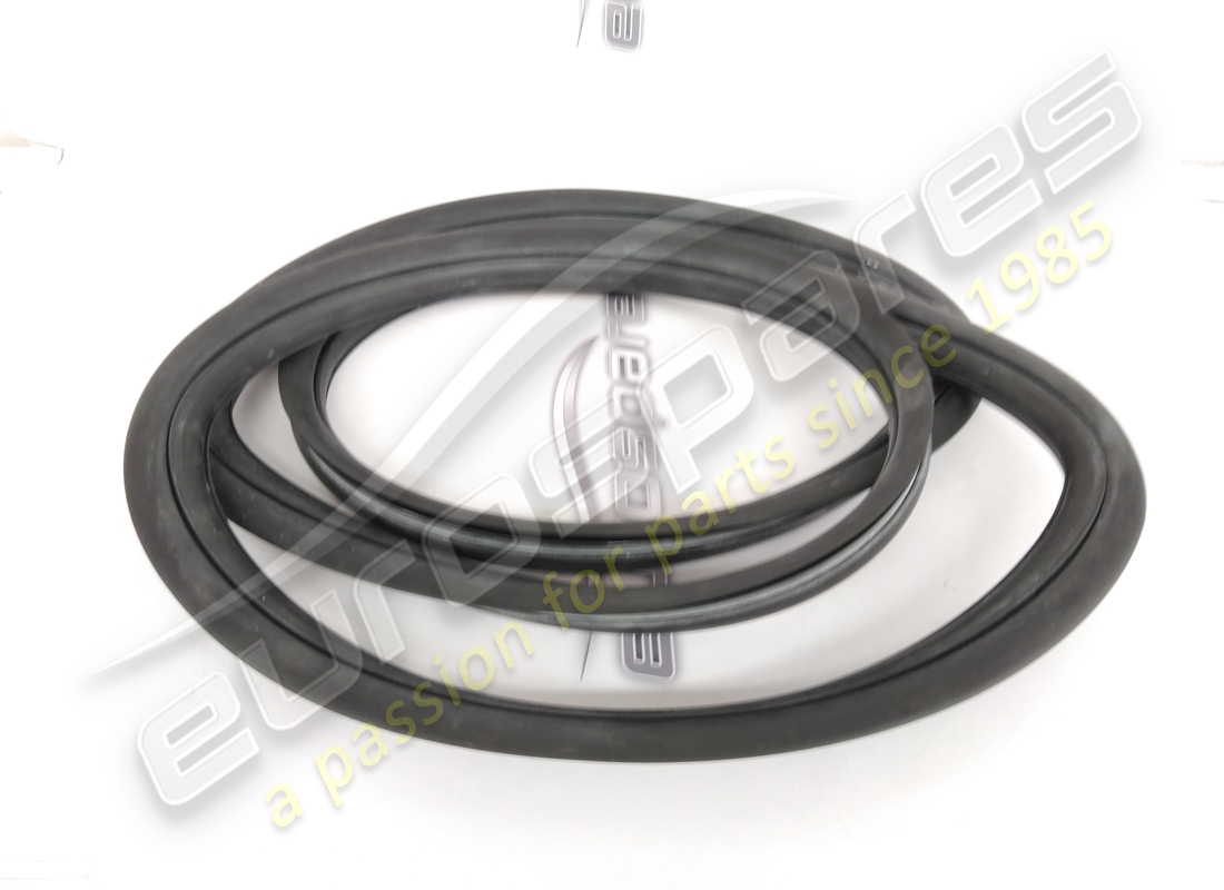NEW FERRARI REAR SCREEN RUBBER. PART NUMBER 16310111 (1) new ferrari rear screen rubber. part number 16310111 (1)
