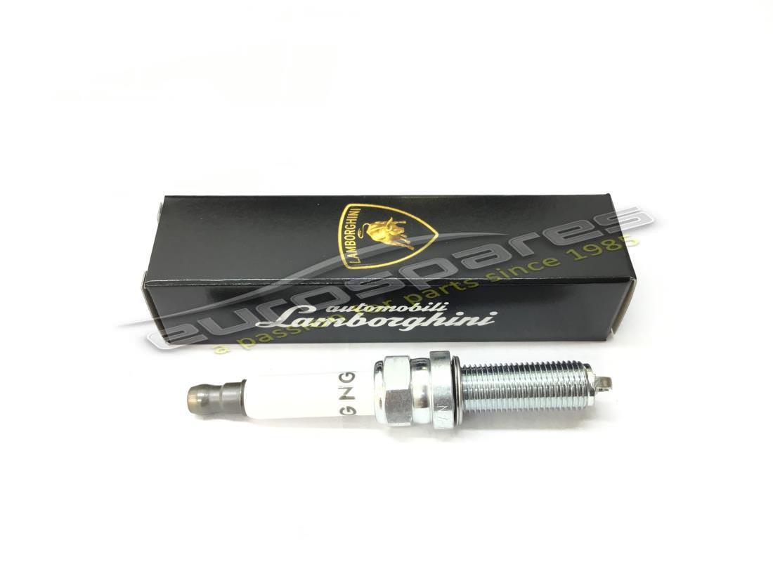 NEW LAMBORGHINI SPARK PLUG. PART NUMBER 470905619C (1) new lamborghini spark plug. part number 470905619c (1)