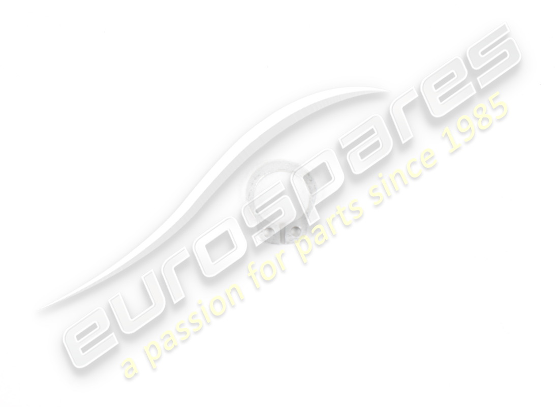 new ferrari seeger ring.. part number 11065674 (1)