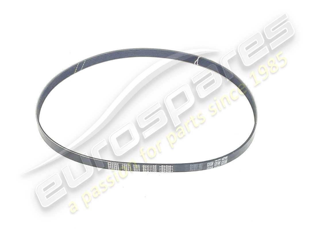 NEW FERRARI BELT. PART NUMBER 343363 (1) new ferrari belt. part number 343363 (1)