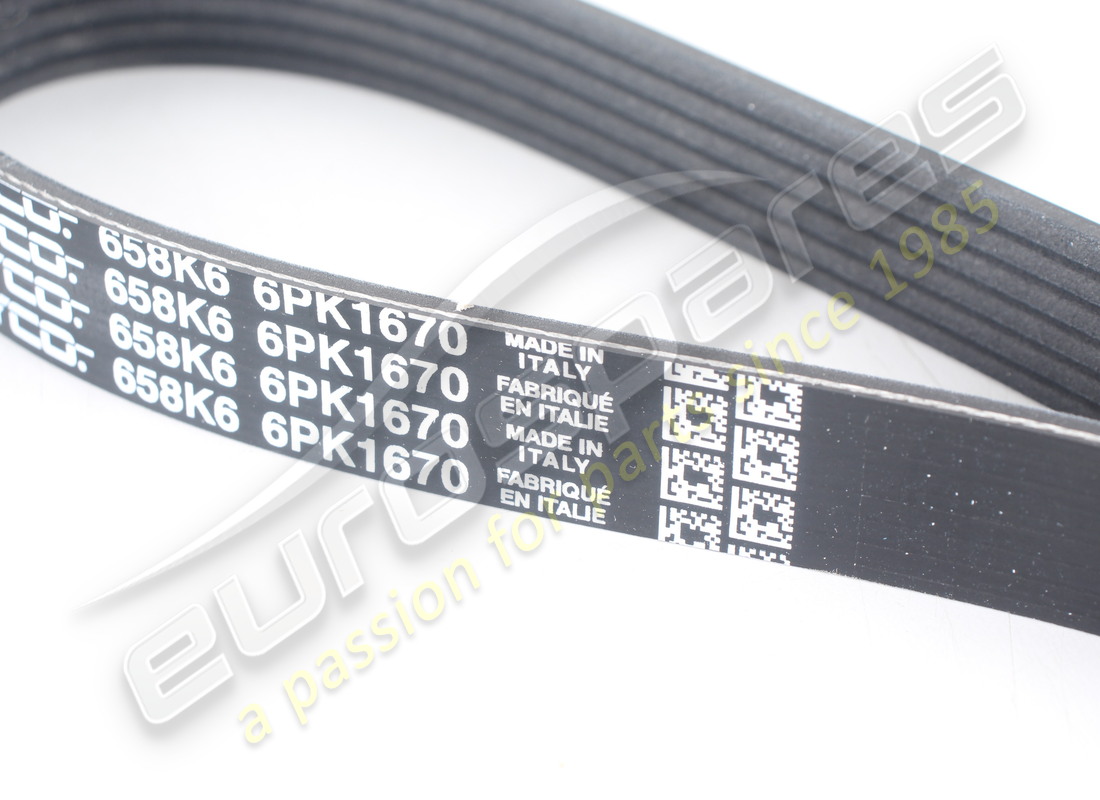 new eurospares accessory belt (alternator/compressor). part number 97965 (2)