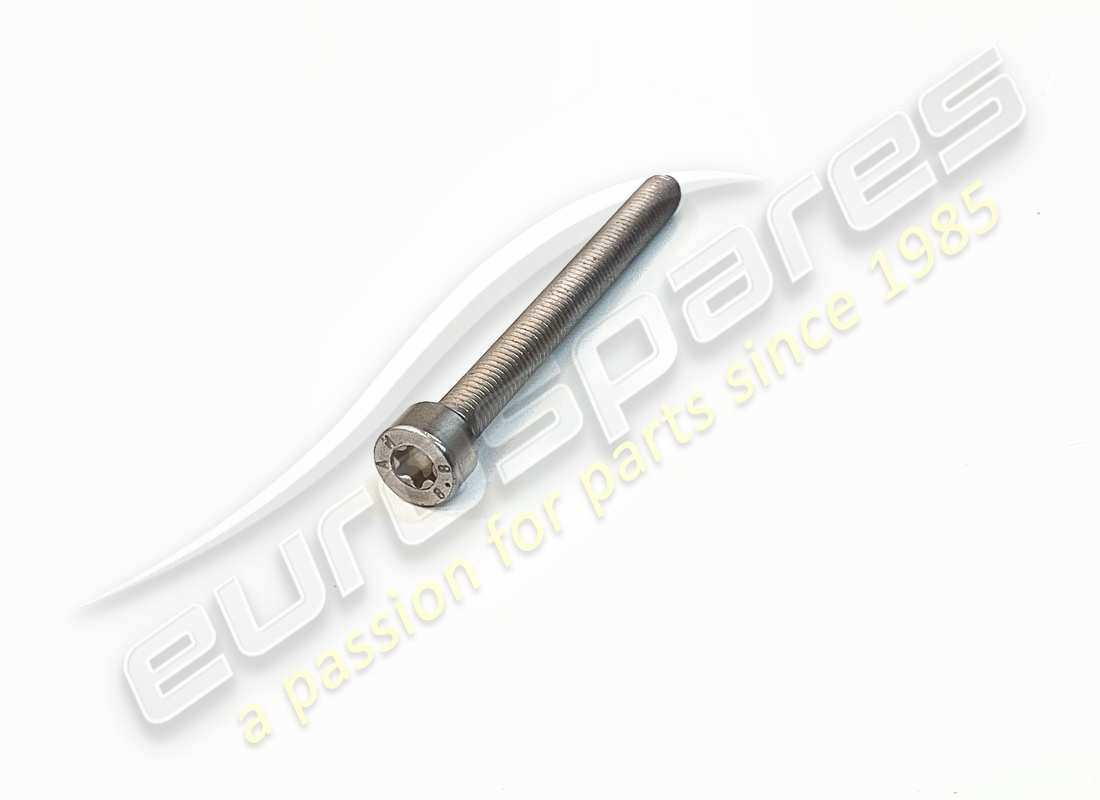 NEW LAMBORGHINI CYLINDER SCREW AM5X55.0. PART NUMBER N10613801 (2) new lamborghini cylinder screw am5x55.0. part number n10613801 (2)