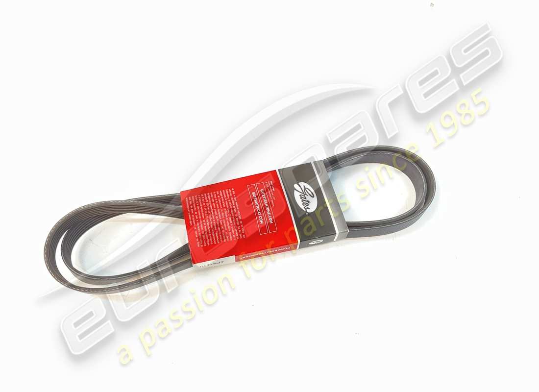 NEW EUROSPARES ACCESSORY BELT (ALTERNATOR/COMPRESSOR). PART NUMBER 97965 (1) new eurospares accessory belt (alternator/compressor). part number 97965 (1)