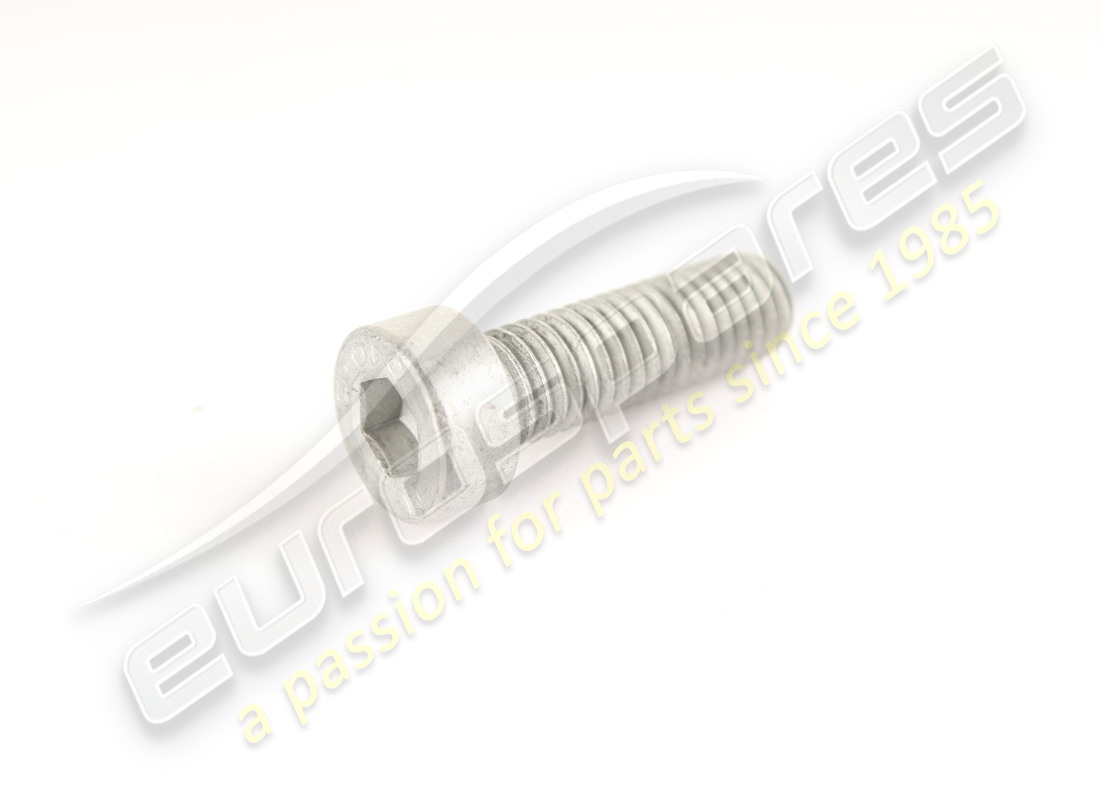 new ferrari screw. part number 13028734 (1)