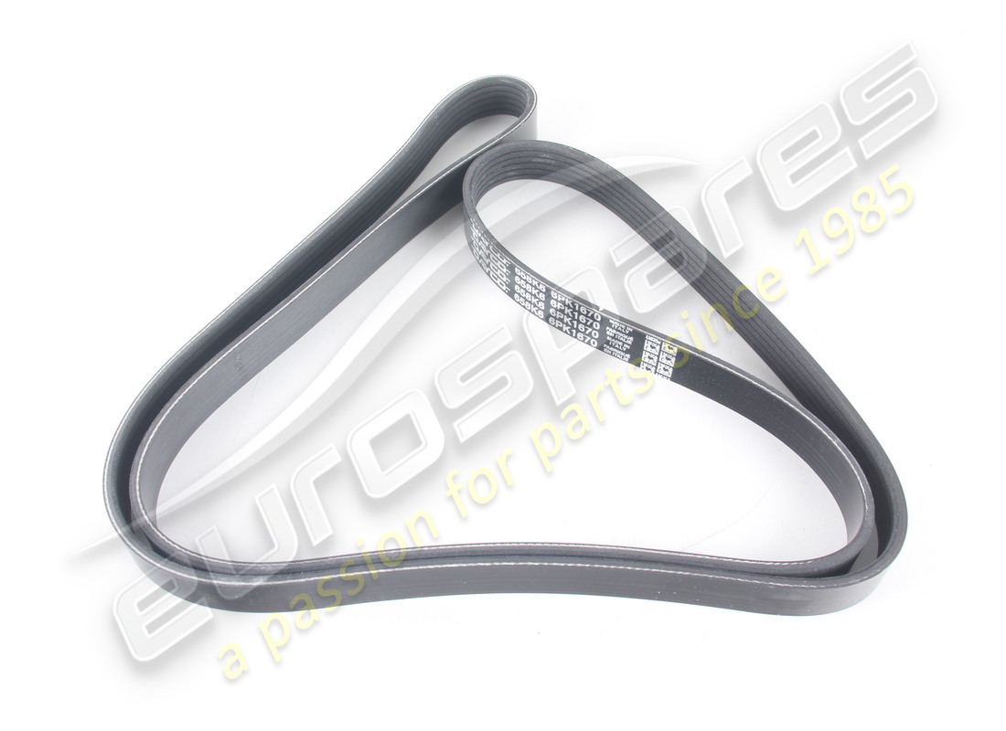 new eurospares accessory belt (alternator/compressor). part number 97965 (1)