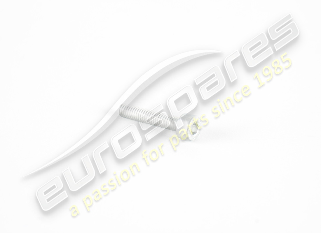 new ferrari screw. part number 14303324 (1)