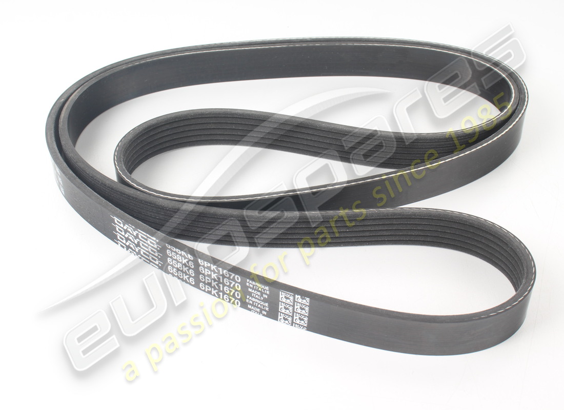 NEW Maserati ACCESSORY BELT (ALTERNATOR/COMPRESSOR) . PART NUMBER 97965 (1)