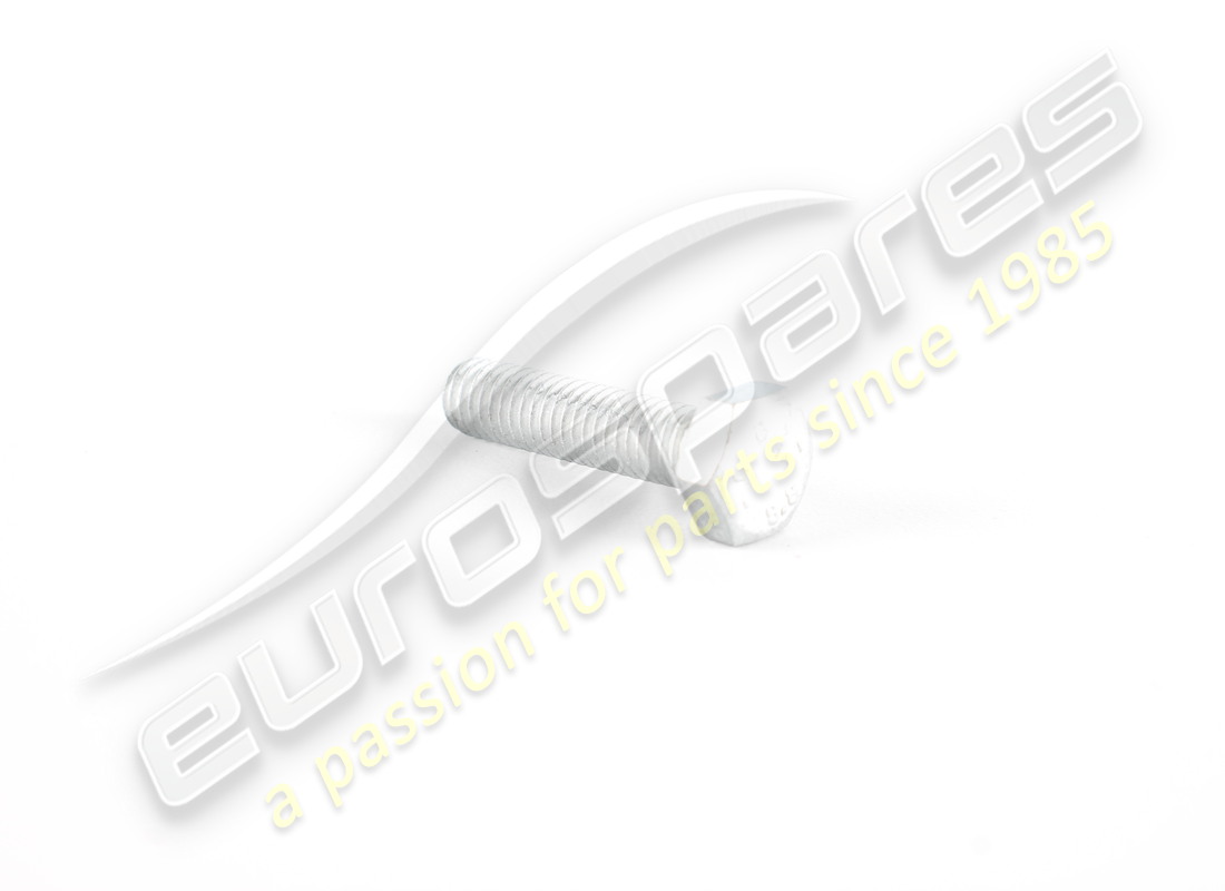 new ferrari screw. part number 10902624 (1)