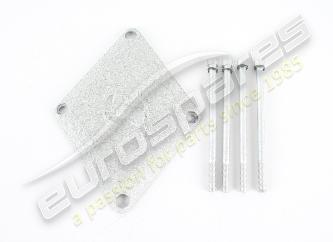 new ferrari air intake cover. part number 191873 (9)