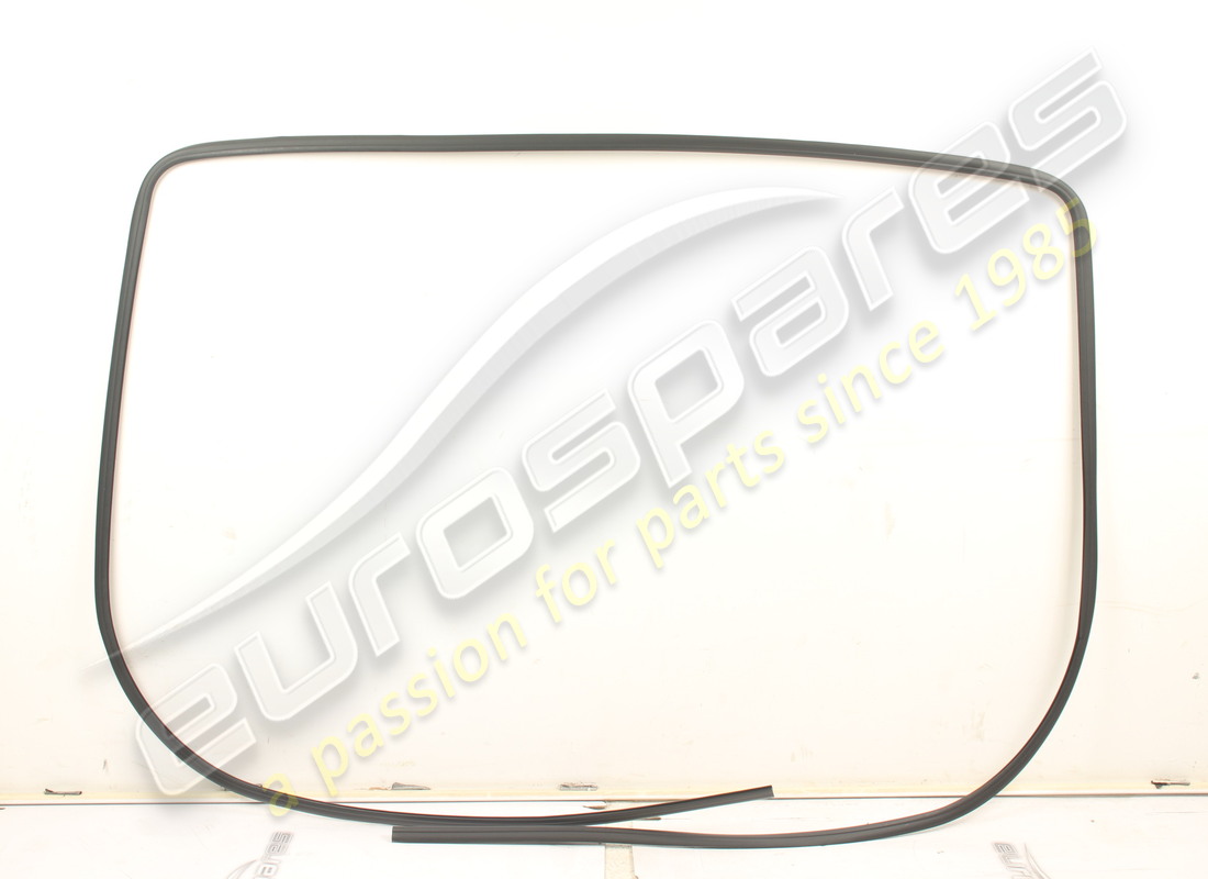 new ferrari gasket. part number 65305700 (1)