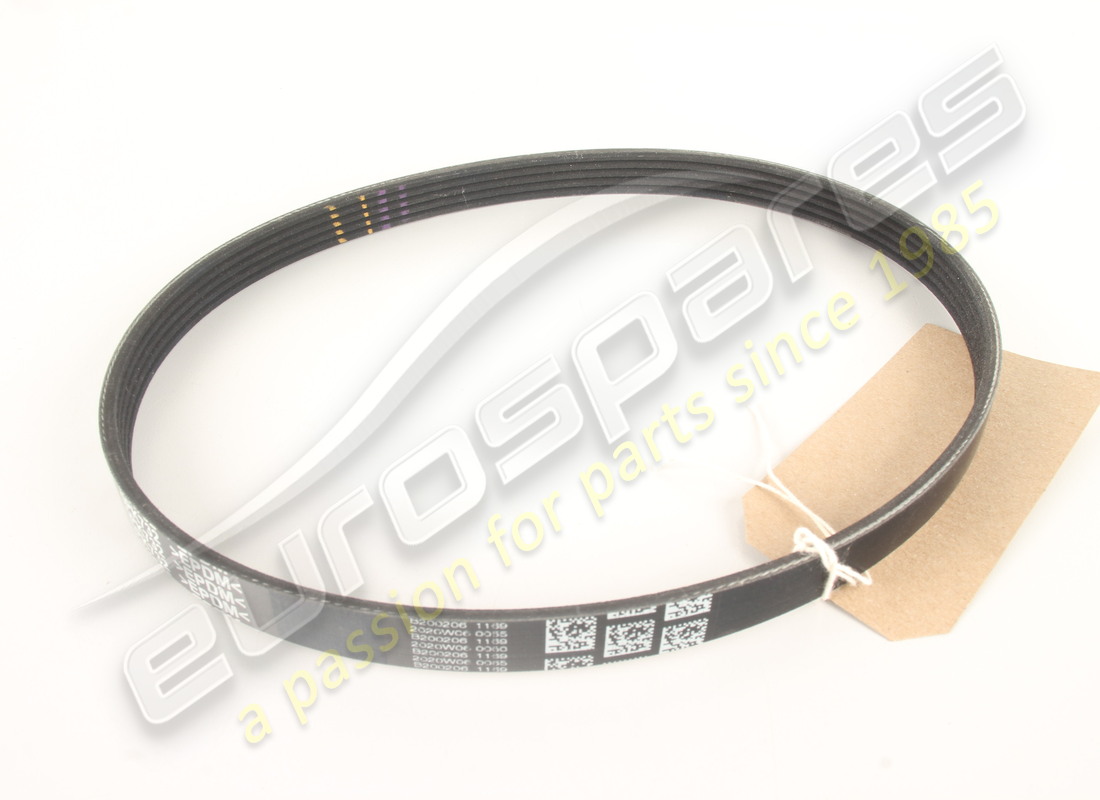 NEW FERRARI BELT. PART NUMBER 332699 (1) new ferrari belt. part number 332699 (1)