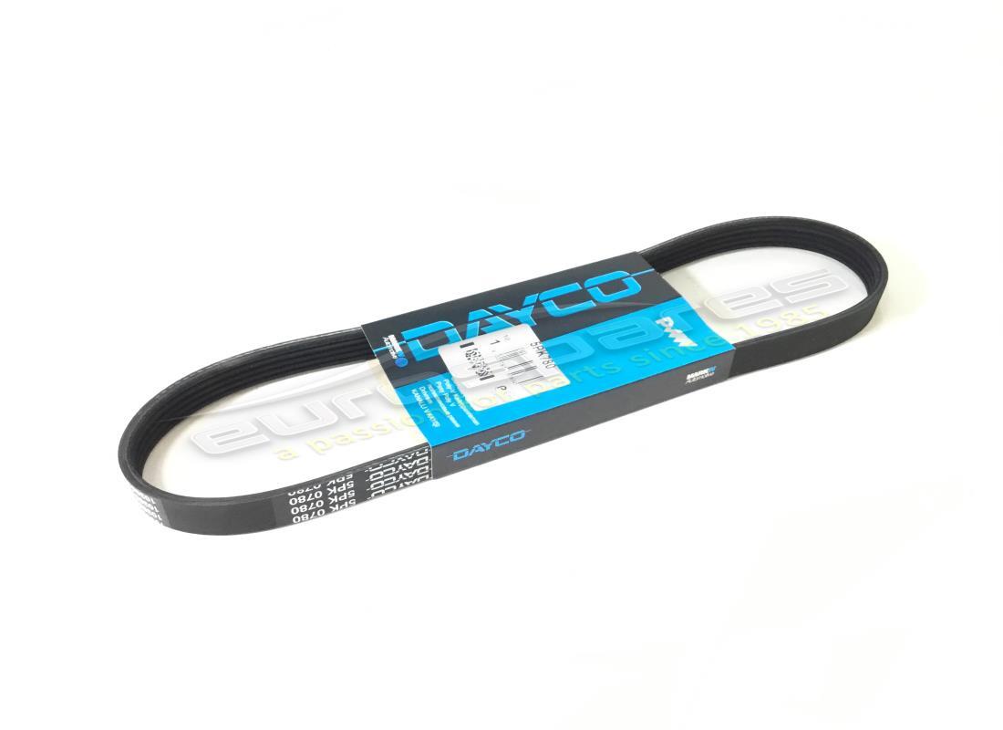 new ferrari alternator belt. part number 199828 (1)