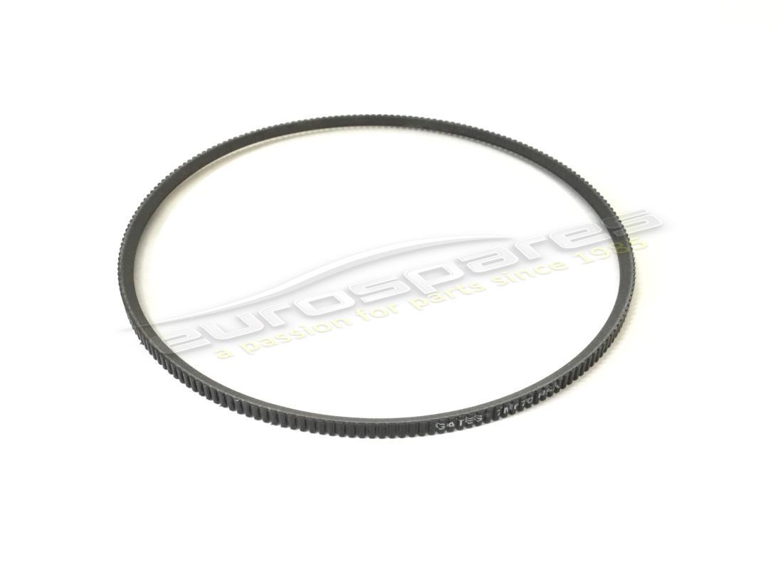 NEW FERRARI POLYFLEX BELT. PART NUMBER 111285 (1) new ferrari polyflex belt. part number 111285 (1)