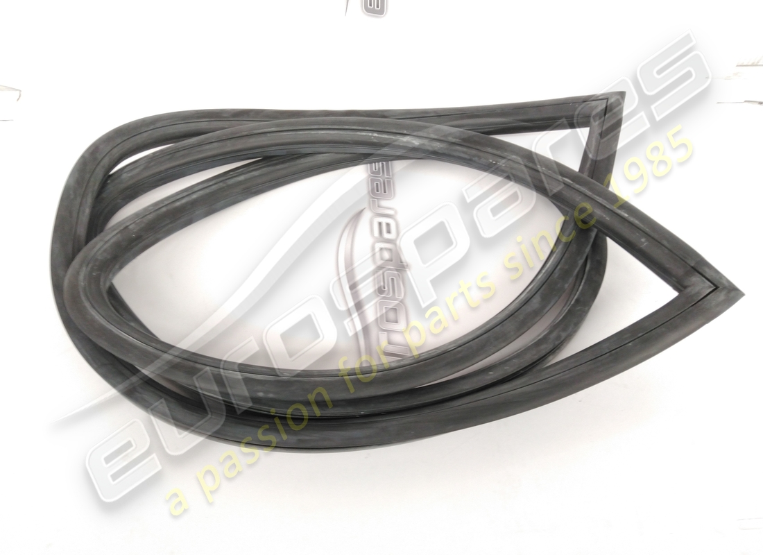 NEW Eurospares GTE REAR SCREEN RUBBER . PART NUMBER 16305110 (1)