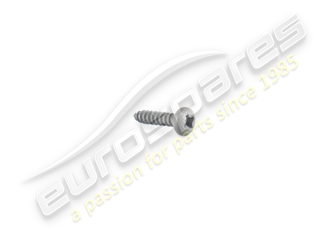 new ferrari screw. part number 15687375 (1)