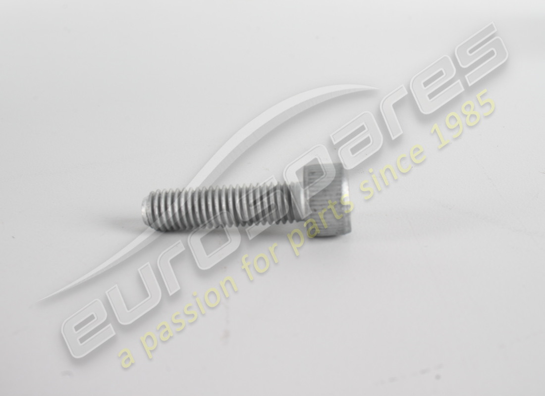 NEW Ferrari SCREW . PART NUMBER 14306524 (1)