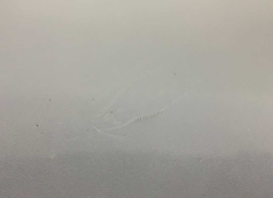 USED LAMBORGHINI UPPER DASHBOARD, LEATHER RHD PART NUMBER 472857041C (2) used lamborghini upper dashboard, leather rhd part number 472857041c (2)