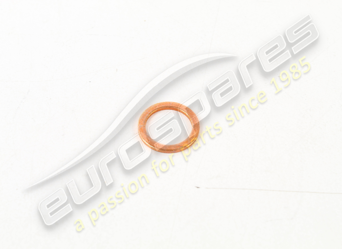 new ferrari washer. part number 10260160 (1)