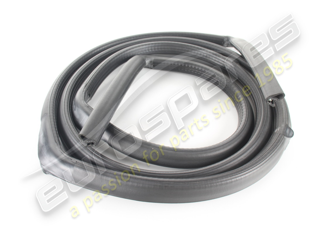 new ferrari gasket rear door. part number 63506200 (1)