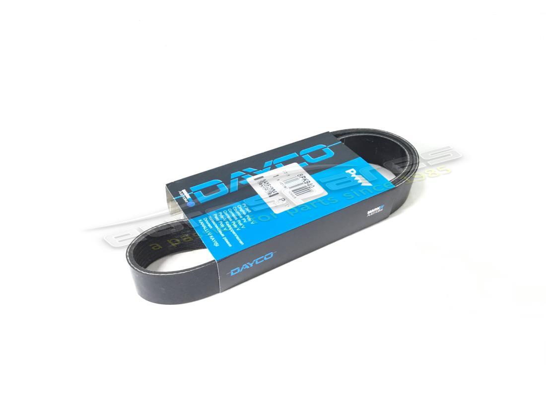 NEW FERRARI ALTERNATOR BELT. PART NUMBER 199823 (1) new ferrari alternator belt. part number 199823 (1)