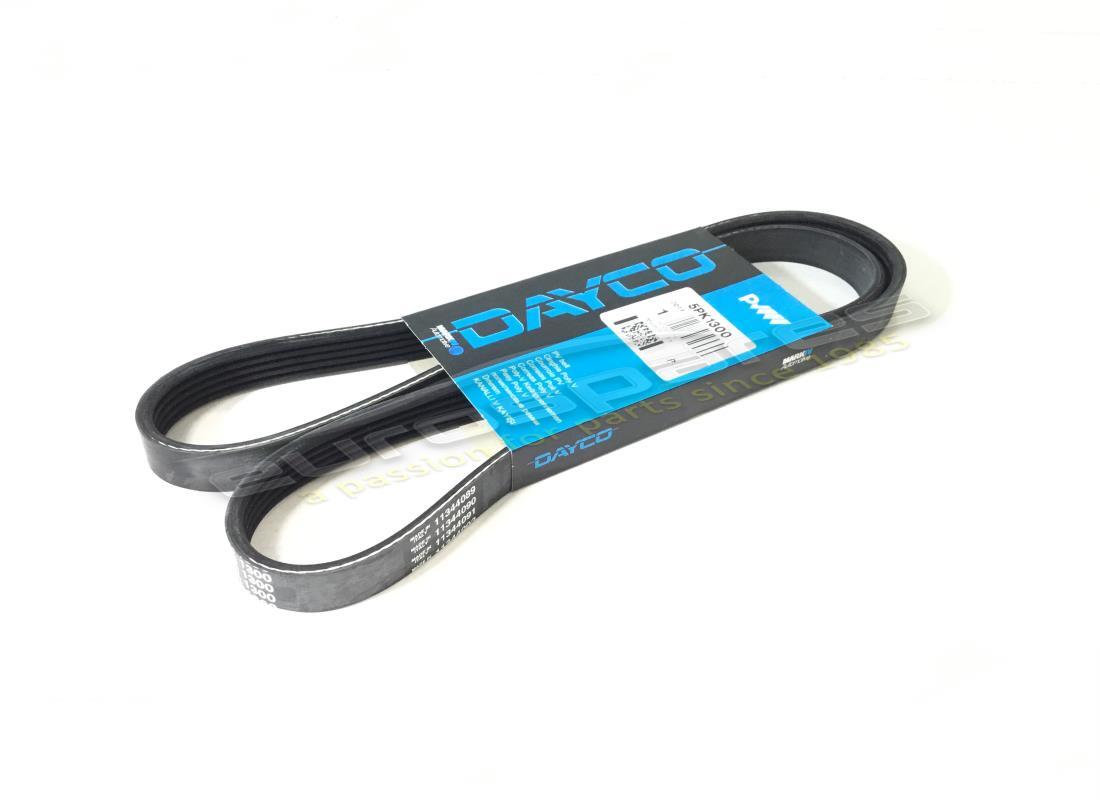 NEW FERRARI HYDRAULIC SERVO BELT. PART NUMBER 199834 (1) new ferrari hydraulic servo belt. part number 199834 (1)