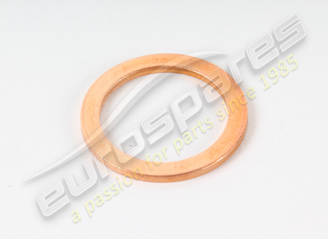 NEW Maserati GASKET (18-24 X 1.5) . PART NUMBER 10259960 (1)