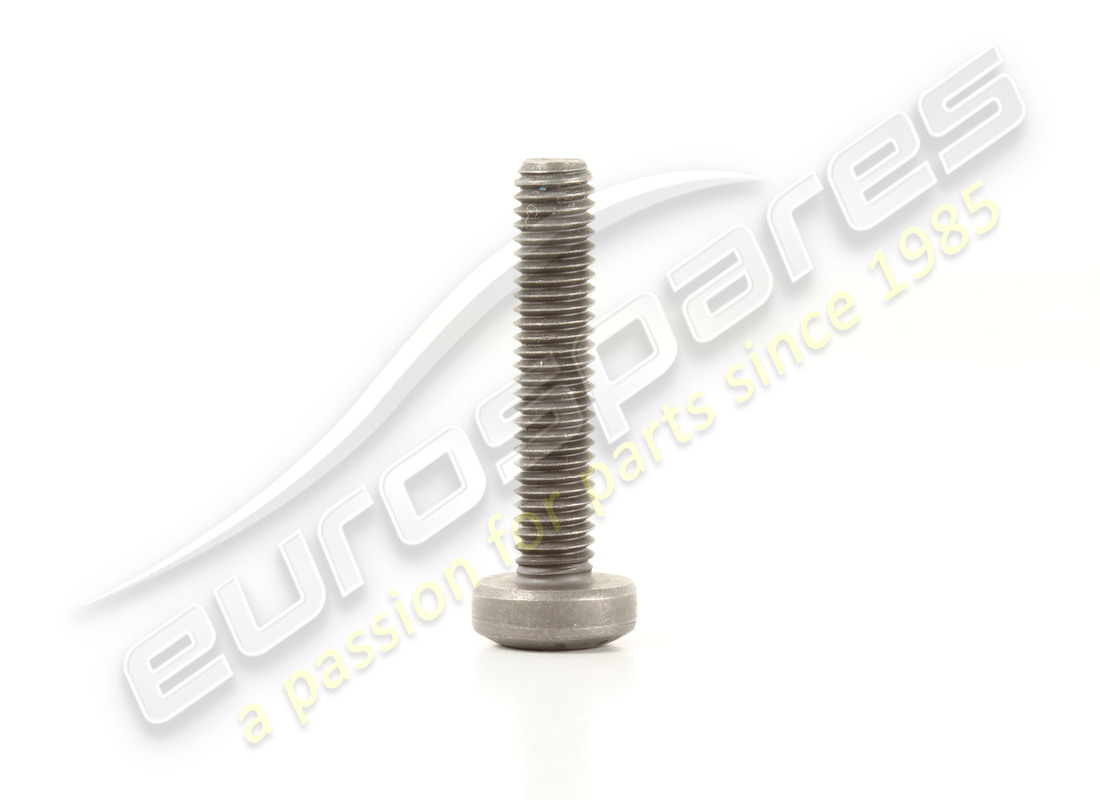 NEW LAMBORGHINI OVAL HEXAGON SOCKET HEAD BOLT. PART NUMBER N10156205 (2) new lamborghini oval hexagon socket head bolt. part number n10156205 (2)