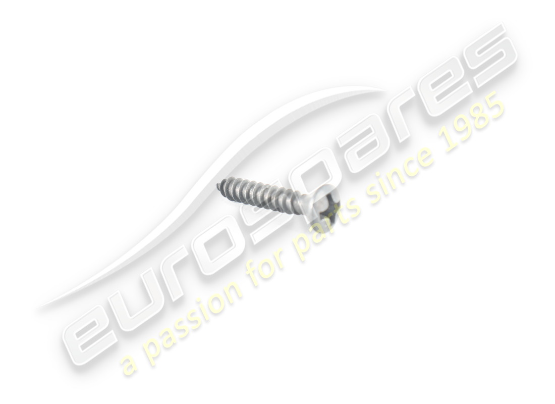 new ferrari screw. part number 15909478 (1)