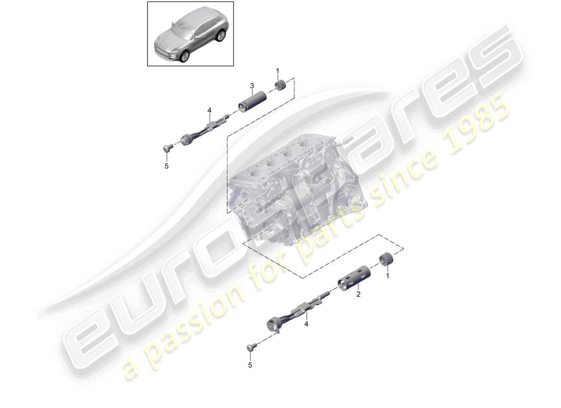 porsche 2016 (macan) cylinder needle bearing - part diagram