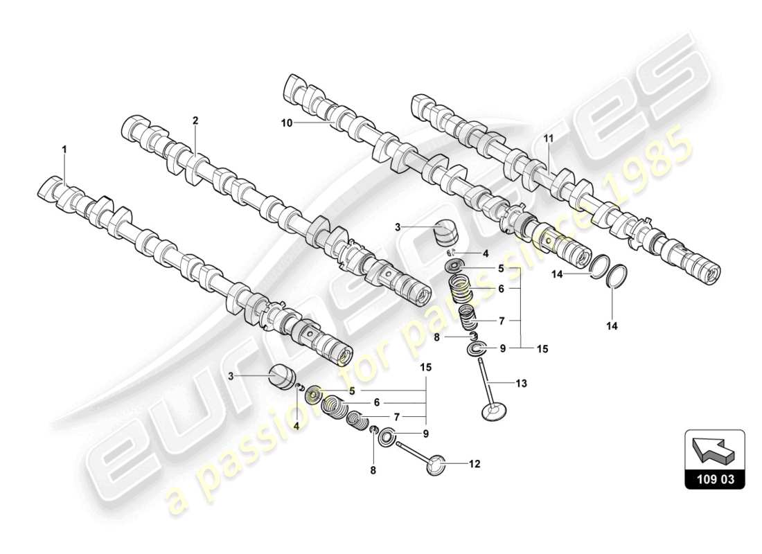 lamborghini lp700-4 roadster (2016) camshaft, valves parts diagram