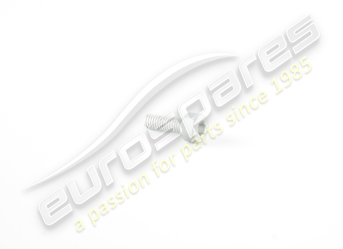 new ferrari screw. part number 14303024 (1)