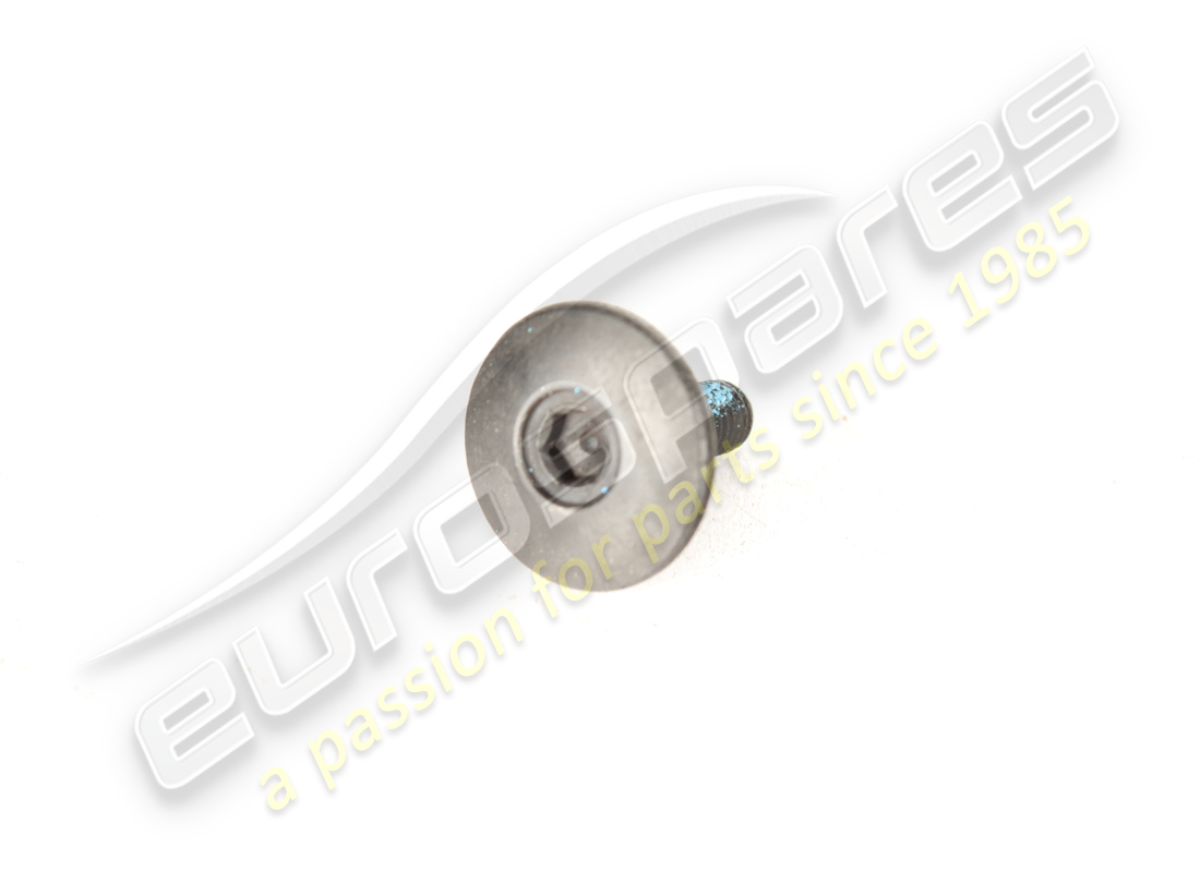 NEW FERRARI SCREW. PART NUMBER 256490 (1) new ferrari screw. part number 256490 (1)