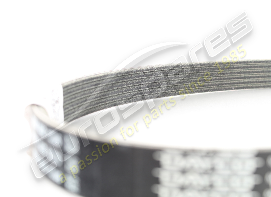 NEW FERRARI BELT FOR ALTERNATOR AND STARTER MOTOR. PART NUMBER 201447 (3) new ferrari belt for alternator and starter motor. part number 201447 (3)