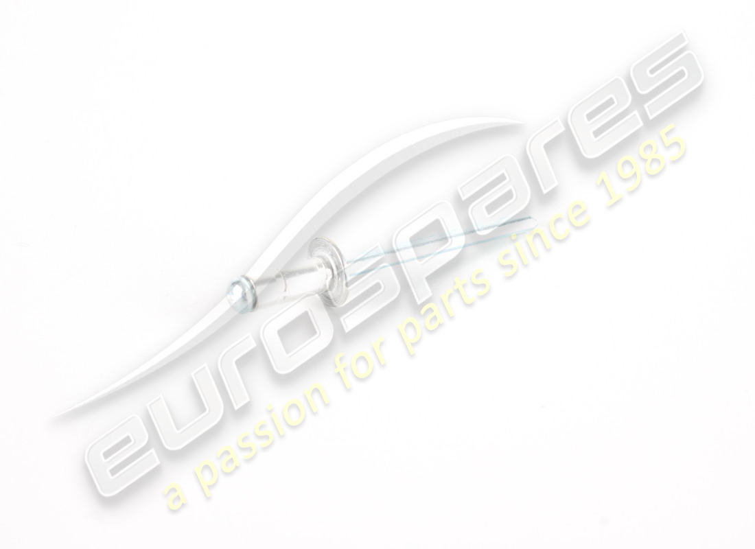 new ferrari rivet. part number 14645690 (1)