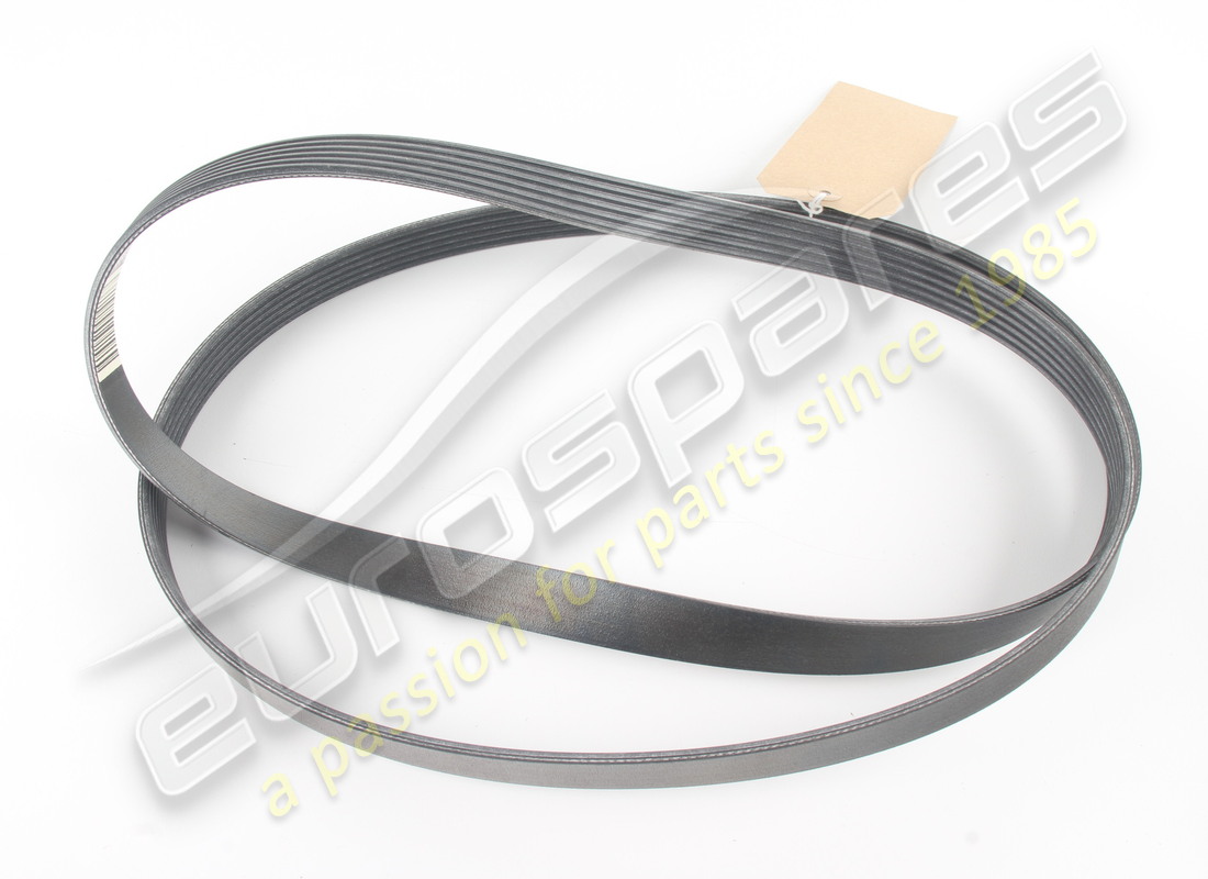 NEW FERRARI CINGHIA TIPO PV-K6 RIBS. PART NUMBER 919627 (1) new ferrari cinghia tipo pv-k6 ribs. part number 919627 (1)